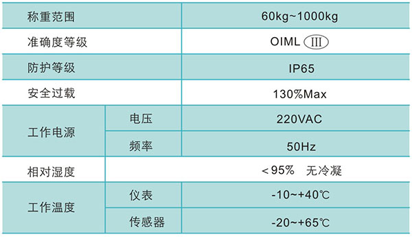 賽爾正和